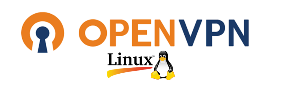 L'immagine mostra icona openvpn compatibie con debian linux il sistema vpn openvpn.