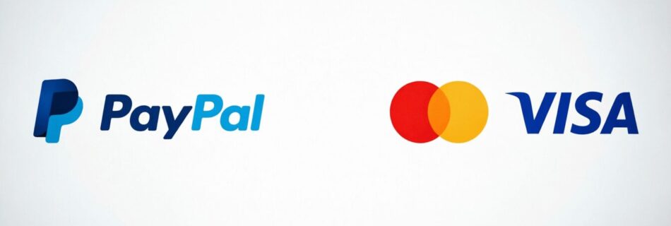 L'immagine mostra il logo paypal visa e mastercard.